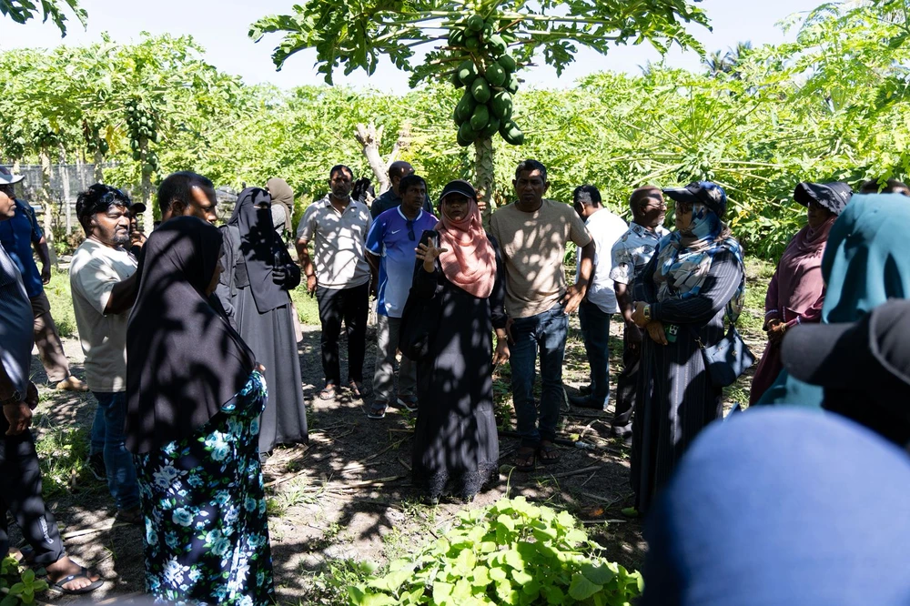 photo for އެމްގެޕް ވޯކްޝޮޕްގެ ބައިވެރިން އަމަލީ ތަމްރީނަށް އއ. ތޮއްޑޫއަށް 